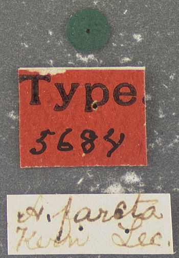 Media type: image;   Entomology 5684 Aspect: labels